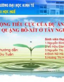 Đề tài: TÁC ĐỘNG TIÊU CỰC CỦA DỰ ÁN KHAI THÁC QUẶNG BÔ-XÍT Ở TÂY NGUYÊN