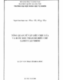 Luận văn Thạc sĩ Khoa học: Tổng quan về vật liệu chịu lửa và bước đầu thăm dò điều chế Samot Cao nhôm