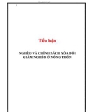 Tiểu luận: Nghèo và chính sách xóa đói giảm nghèo ở nông thôn