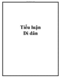 Tiểu luận: Di dân