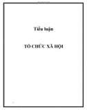 Tiểu luận: Tổ chức xã hội