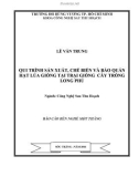 Báo cáo đề tài: Qui trình sản xuất, chế biến và bảo quản hạt lúa giống tại trại giống cây trồng Long Phú 