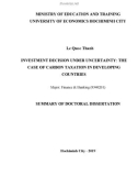 Summary of Doctoral dissertation: Investment decision under uncertainty - The case of carbon taxation in developing countries