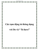 Các cụm động từ thông dụng với Do và ' To have'