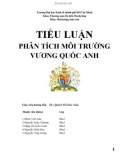 TIỂU LUẬN: PHÂN TÍCH MÔI TRƯỜNG VƯƠNG QUỐC ANH