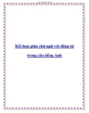 Kết hợp giữa chủ ngữ với động từ trong câu tiếng Anh.