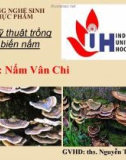 Đề tài: Nấm Vân Chi