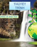 Đề tài: môi trường và sinh thái