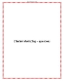 Câu hỏi đuôi (Tag – question)