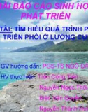 ĐỀ TÀI: TÌM HIỂU QUÁ TRÌNH PHÁT TRIỂN PHÔI Ở LƯỠNG CƯ