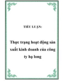 TIỂU LUẬN: Thực trạng hoạt động sản xuất kinh doanh của công ty hạ long