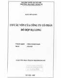 Luận văn Thạc sĩ Quản trị kinh doanh: Cơ cấu vốn của Công ty cổ phần Đồ hộp Hạ Long