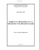 Luận văn thạc sĩ khoa học Nghiên cứu chế độ động lực và môi trường vùng biển Đông Nam Bộ 