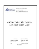 Tiểu luận: CÁC MA TRẬN PHÂN TÍCH VÀ LỰA CHỌN CHIẾN LƯỢC