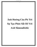 Luận văn: Nghiên cứu các điều kiện xác định các dạng asen bằng phương pháp phổ hấp thụ nguyên tử