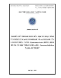 Luận án Tiến sĩ Hóa học: Nghiên cứu thành phần hóa học và hoạt tính ức chế enzym a-glucosidase và a-amylase của loài dây thìa canh - Gymnema sylvestre (Retz.) R.Br. ex Sm. và dây thìa canh lá to – Gymnema latifolium Wall. Ex Wight