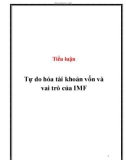 Tiểu luận: Tự do hóa tài khoản vốn và vai trò của IMF