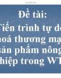 Tiểu luận: Tiến trình tự do hoá thương mại thương sản phẩm nông nghiệp trong WTO