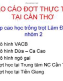 Báo cáo đợt thực tập tại Cần Thơ