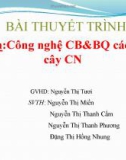 Tiểu luận: Tình hình chế biến và tiêu thụ điều của Việt Nam