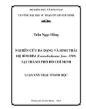 Luận văn Thạc sĩ Sinh học: Nghiên cứu đa dạng và sinh thái họ bìm bìm (Convolvulaceae Juss. 1789) tại thành phố Hồ Chí Minh