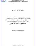 Luận văn Thạc sĩ Sinh học: Vai trò của Auxin trong sự phát sinh hình thái rễ bất định In Vitro từ khúc cắt thân cây đậu Vigna Angularis (Willd.) Ohwi Et Ohashi