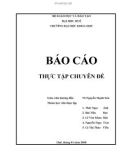 Báo cáo thực tập chuyên đề Vật liệu Ruby Al2O3 : Cr3+ nhâm tạo 