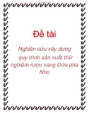 Đề tài: Nghiên cứu xây dựng quy trình sản xuất thử nghiệm rượu vang Dứa pha Nho