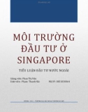 Tiểu luận: Môi trường đầu tư ở Singapore