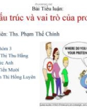 Bài Tiểu luận về: Cấu trúc và vai trò của protein