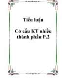 Tiểu luận Cơ cấu KT nhiều thành phần P.2