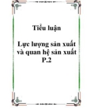 Tiểu luận Lực lượng sản xuất và quan hệ sản xuất P.2