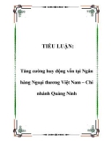 TIỂU LUẬN: Tăng cường huy động vốn tại Ngân hàng Ngoại thương Việt Nam – Chi nhánh Quảng Ninh