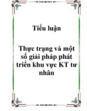 Tiểu luận Thực trạng và một số giải pháp phát triển khu vực KT tư nhân