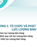 Bài giảng Quản trị bán hàng - Chương 3: Tổ chức và phát triển lực lượng bán hàng (Trình độ Thạc sĩ)