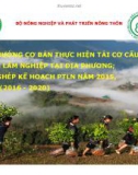 Bài thuyết trình Định hướng cơ bản thực hiện tái cơ cấu ngành Lâm nghiệp tại địa phương; lồng ghép kế hoạch PTLN năm 2015, 5 năm (2016 - 2020)