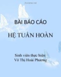 Bài báo cáo: Hệ tuần hoàn