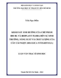 Luận văn Thạc sĩ Sinh học: Khảo sát ảnh hưởng của chế phẩm Bio BL và Bioplant Flora đến sự sinh trưởng, năng suất và chất lượng của cây cải ngọt (Brassica Integrifolia)