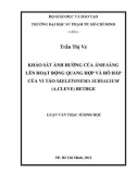 Luận văn Thạc sĩ Sinh học: Khảo sát ảnh hưởng của ánh sáng lên hoạt động quang hợp và hô hấp của vi tảo Skeletonema subsalsum (A.Cleve) Bethge