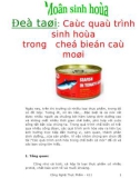 Đề tài Các quá trình sinh hóa trong chế biến cá mòi