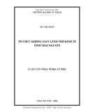 Luận văn Thạc sĩ Địa lý học: Tổ chức không gian lãnh thổ kinh tế tỉnh Thái Nguyên