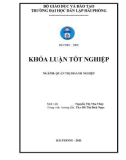 LUẬN VĂN: BIỆN PHÁP NÂNG CAO HIỆU QUẢ SỬ DỤNG NGUỒN NHÂN LỰC TẠI CÔNG TY CỔ PHẦN HÓA CHẤT VẬT LIỆU ĐIỆN HẢI PHÕNG