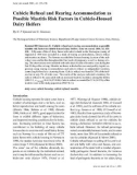 Báo cáo khoa học: Cubicle Refusal and Rearing Accommodation as Possible Mastitis Risk Factors in Cubicle-Housed Dairy Heifers