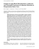 Báo cáo khoa học: Changes in some Blood Micronutrients, Leukocytes and Neutrophil Expression of Adhesion Molecules in Periparturient Dairy Cows