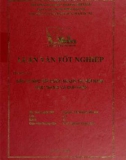 Khóa luận tốt nghiệp: Đầu tư trực tiếp nước ngoài tại Việt Nam - Thực trạng và giải pháp