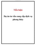 Tiểu luận: Dự án tư vấn cung cấp dịch vụ phong thủy