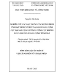 Tóm tắt Luận án Tiến sĩ Vật lý nguyên tử và hạt nhân: Nghiên cứu các đặc trưng của một số phản ứng hạt nhân với bức xạ hãm năng lượng cực đại sau cộng hưởng lưỡng cực khổng lồ và proton năng lượng tới 45 MeV