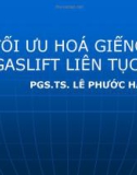 TỐI ƯU HOÁ GIẾNG GASLIFT LIÊN TỤC