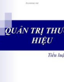 Báo cáo nhóm Quản trị thương hiệu: Thương hiệu cá nhân - Lý thuyết và thực tiễn