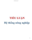 Tiêu luận: Hệ thống nông nghiệp